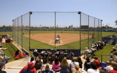 Top 3 MUST-HAVES For Every Travel Baseball/Softball Parent – Travel Tournament Essentials