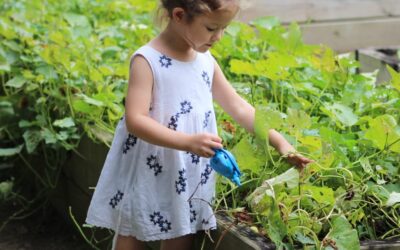 How To Keep Your Kids Busy This Summer: 6 Fun and Free Activities